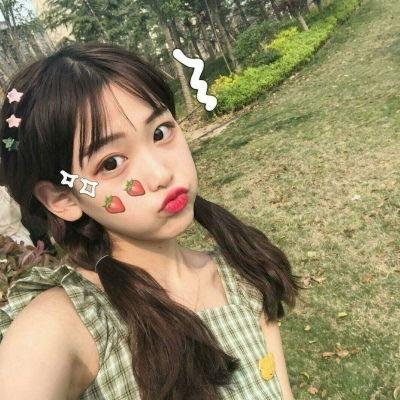 茶花彝女